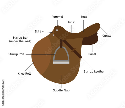Vector flat cartoon saddle parts names isolated on white background
