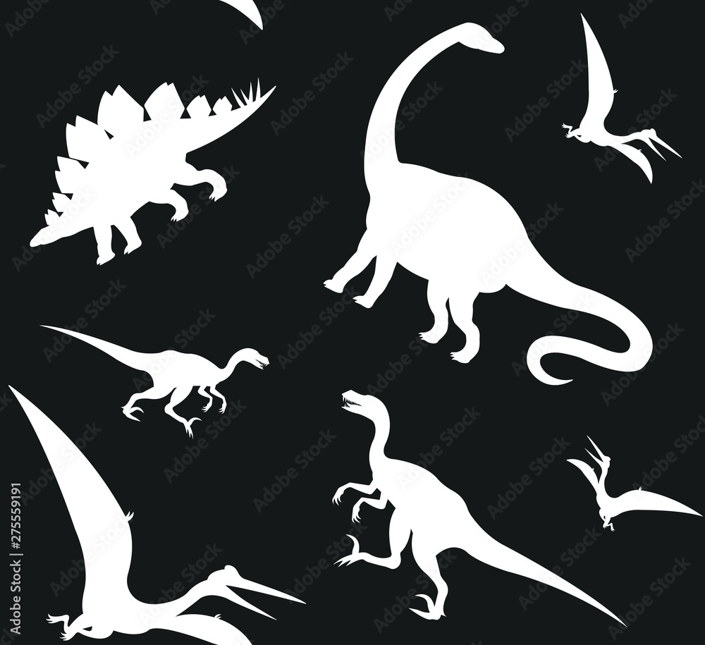 Obraz premium Vector seamless pattern of white different dinosaur silhouette isolated on black background