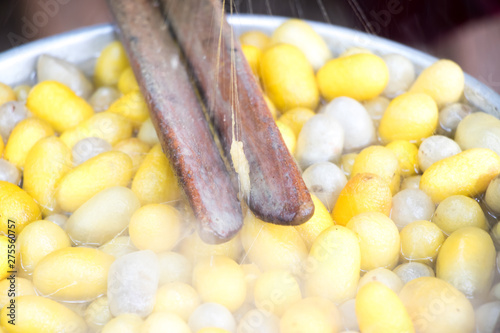 Closed up of vintage method for silk reeling and yellow and white cocoon on hot water background