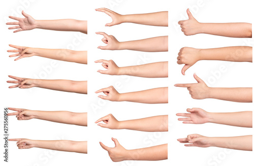 Set of woman hands with different gestures isolated on white