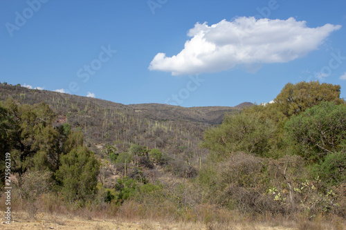 PUEBLA, MEXICO - May 16, 2019: Waterfalls of San Agustín Ahuehuetla, the avocado, Puebla, Mexico