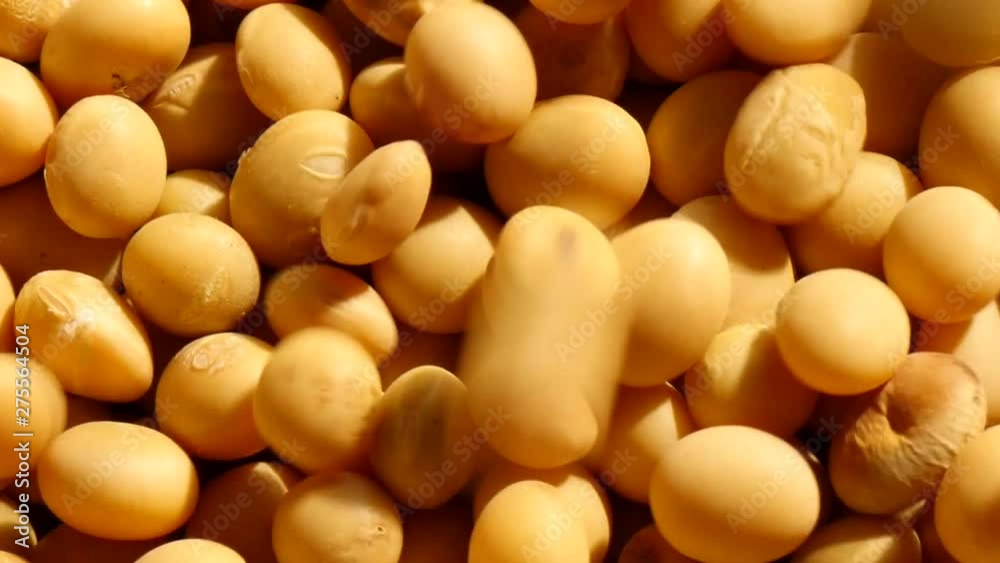 Falling mass of soybeans on rotate Falling mass of soybeans on rotate