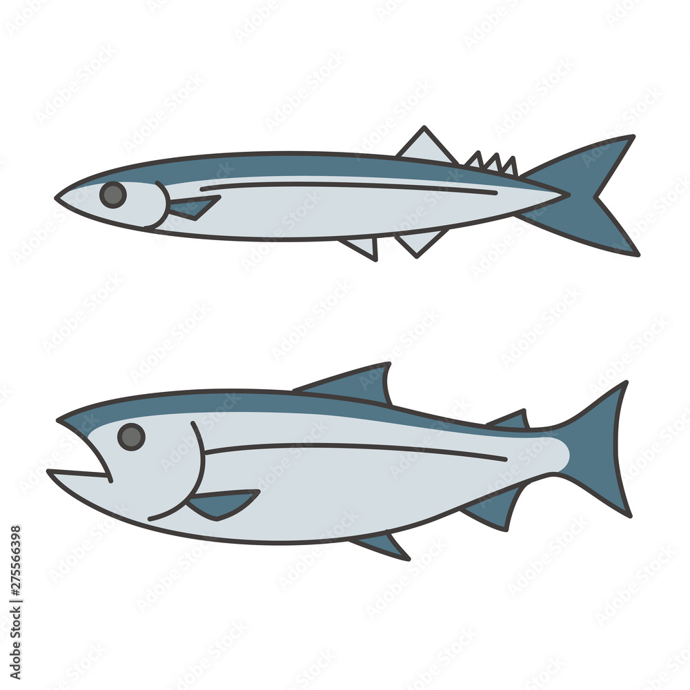 Obraz premium 秋刀魚と鮭