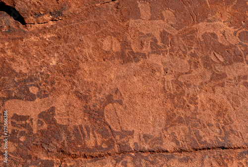 Petroglyphs in Twyfelfontein (Afrikaans: uncertain spring), officially known (Damara/Nama: jumping waterhole), is a site of ancient rock engravings in the Kunene Region of north-western Namibia. photo