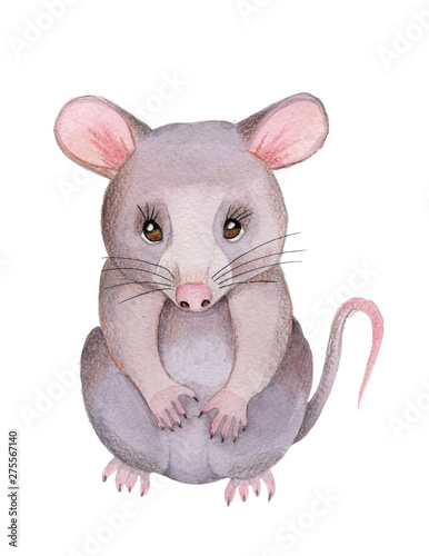 Gray rat sitting. Watercolor hand drawn sketch. © Yelena