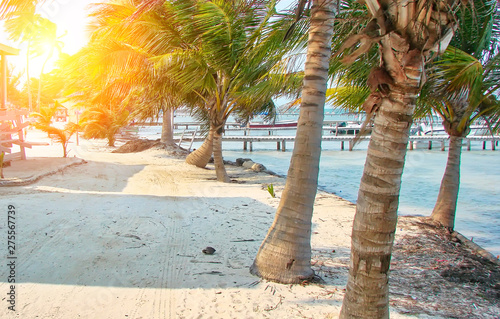 Belize, Caye Caulker Village – scenic beaches and ocean coastline photo