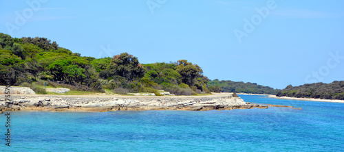 Landscape in the natural reserve of Brijuni (also known as Brioni) National Park, Pula, Istria region, Croatia photo