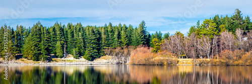 Trees reflection lake landscape panorama
