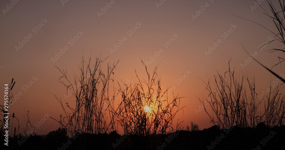 sunset over the lake