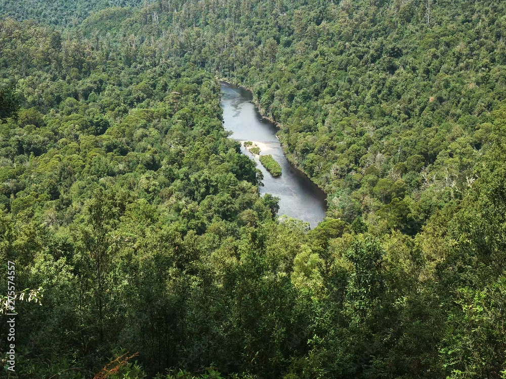 the arthur river from sumac lookout in the tarkine forest of tas Stock