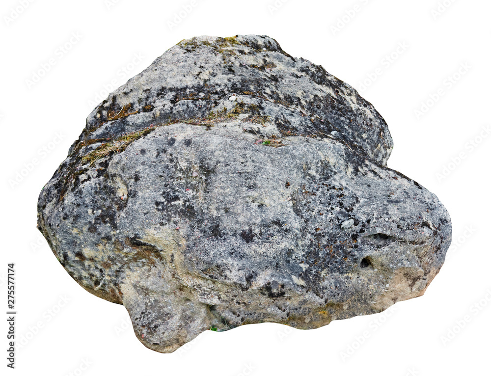 The large ancient mossy granite rough stone with Moon fish shape isolated The large ancient mossy granite rough stone with Moon fish shape isolated