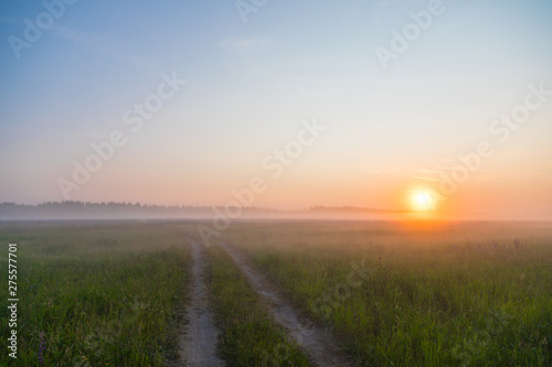 sunrise in the field