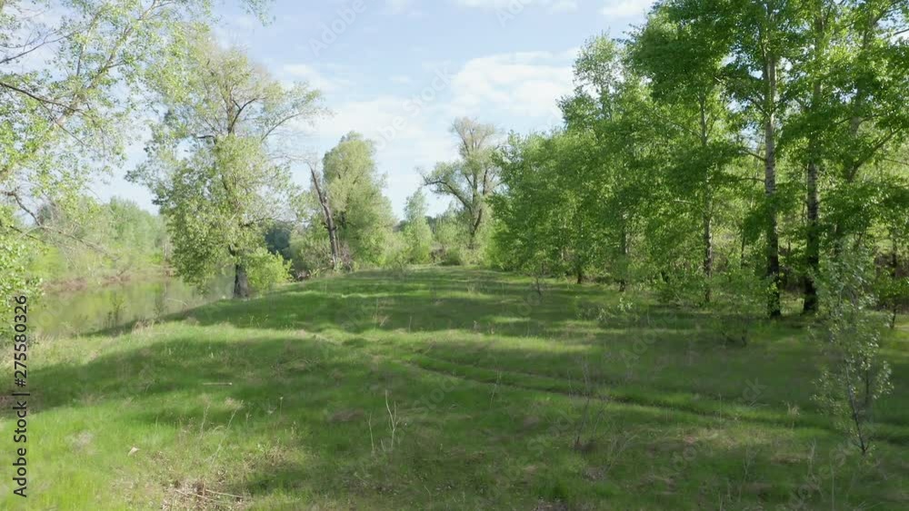 Aerial approach shot of the river bank. Next to the river is a green lawn. There are a lot of trees around. Great place for a picnic. Aerial approach shot of the river bank. Next to the river is a green lawn. There are a lot of trees around. Great place for a picnic.
