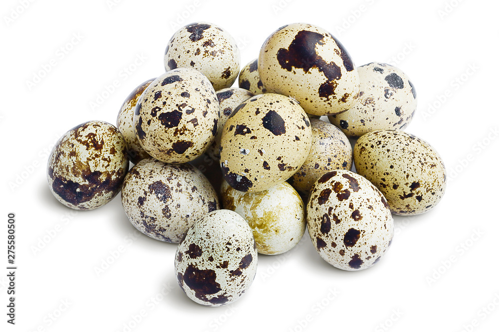 Quail Eggs. Pile of Fresh Quail Eggs Isolated on White. Full Depth of Field    