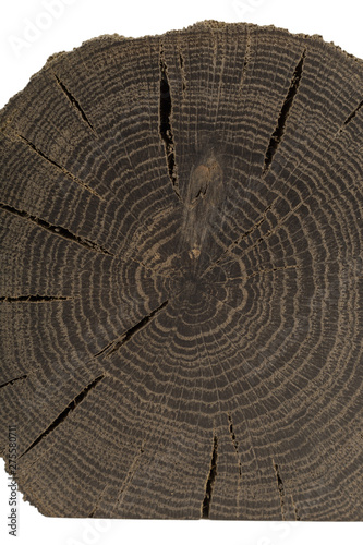 A handmade oak souvenir, an oak texture with cracks.