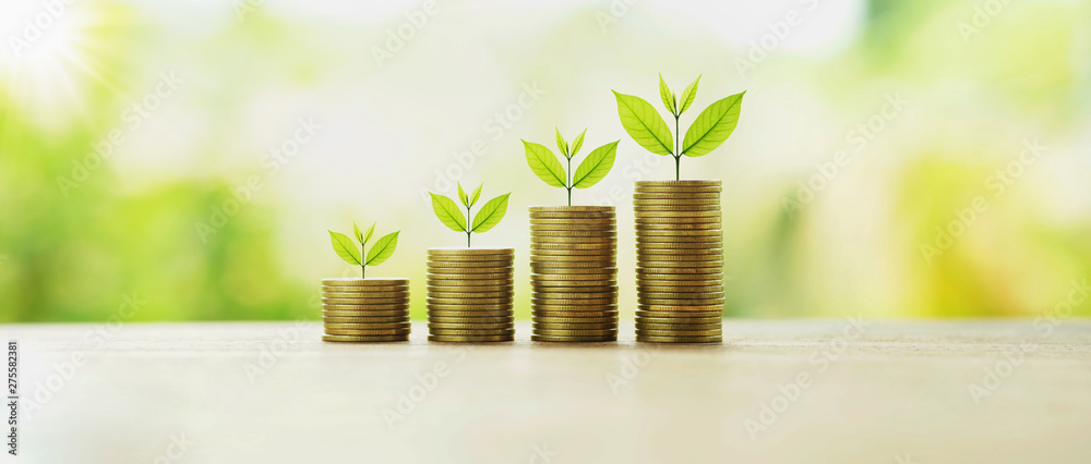 money stack with plant growing. finance and accounting concept - obrazy, fototapety, plakaty 