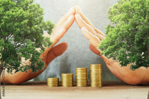 businessman protection money on table with tree. concept saving photo