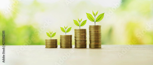 money stack with plant growing. finance and accounting concept photo