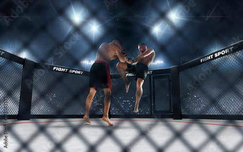 Obraz na plátně MMA fighters on ring. Fighting Championship.