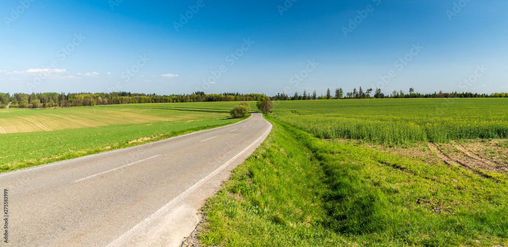 springtime rural landscape with road, fields, meadows, small hills covered by trees and blue sky
