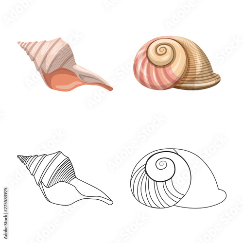Vector design of animal and decoration logo. Set of animal and ocean stock vector illustration.