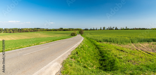 springtime rural landscape with road, fields, meadows, small hills covered by trees and blue sky photo