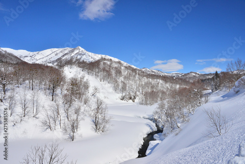 新雪輝く魚沼の山