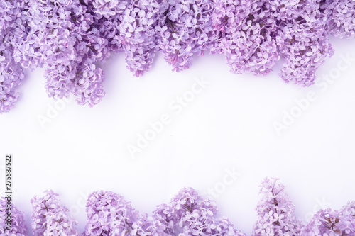 The beautiful lilac on a white background. Horizontal composition, copyspace. For design of cards, invitations, wedding backgrounds