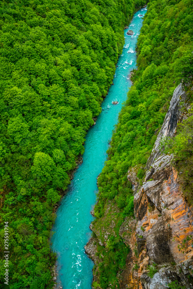 Montenegro, View above azure waters of tara river stream course flowing through green unspoiled nature landscape of majestic tara canyon perfect location for adrenaline sports like rafting