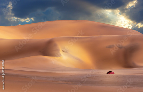 Beautiful sand dunes Landscape at Sunrise in the Namib desert. 