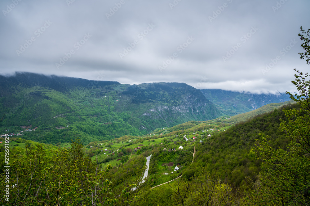 Montenegro, Impressive green forested nature landscape of tara canyon from above