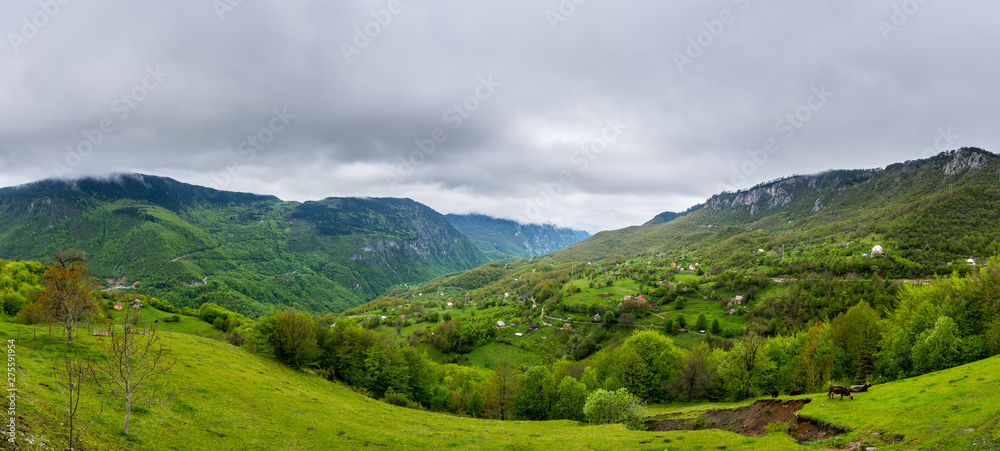 Montenegro, XXL nature landscape panorama of beautiful green tara canyon covered by forest and only few houses