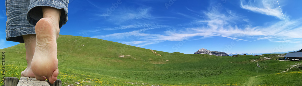 randonnée en montagne - alpage du charmant som en chartreuse