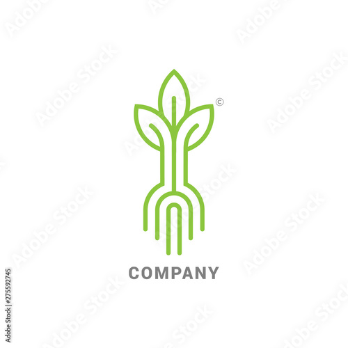 Sprout with Roots, Modern line logo mark template with sprouting seed