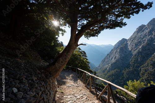 Quadro em tela Abstieg in die Samaria Schlucht auf Kreta in der frühen Morgenstunde