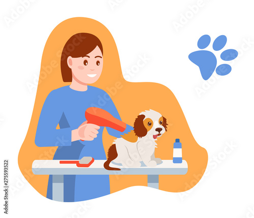 Caring for puppy, pet. Girl dries, combs the dog's hair.