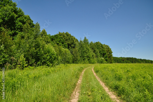 Road in the field
