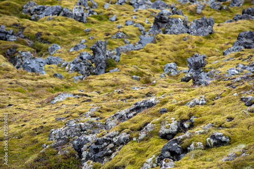 Eldhraun lava field in Iceland © salajean