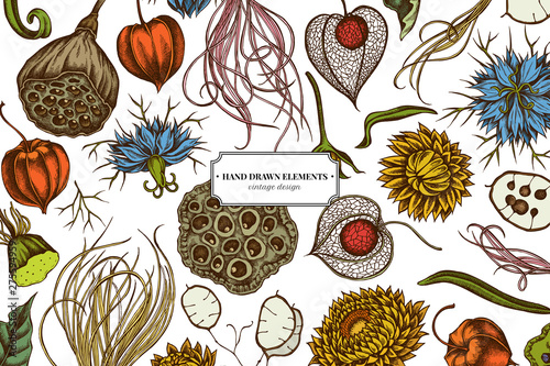 Floral design with colored black caraway, feather grass, helichrysum, lotus, lunaria, physalis