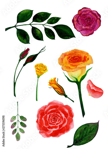 Roses set