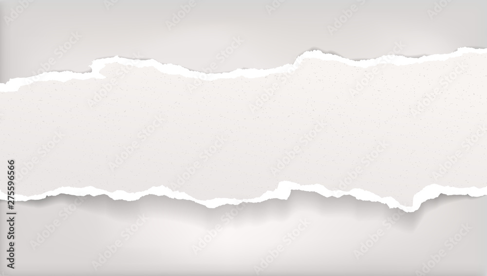 Piece of torn white horizontal paper strip with soft shadow is on grey background. Vector illustration
