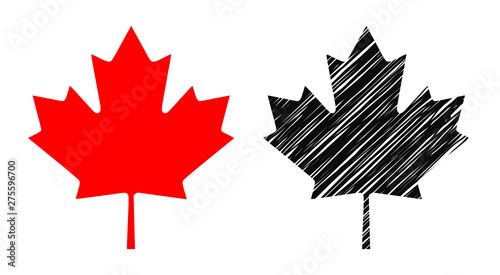 Vector illustration of maple leaf silhouette isolated on white background - simple contour red version and grungy hand drawn doodle style version