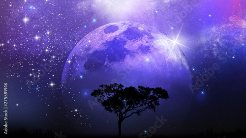 tree silhouette, moon, galaxy fantasy background © reichdernatur