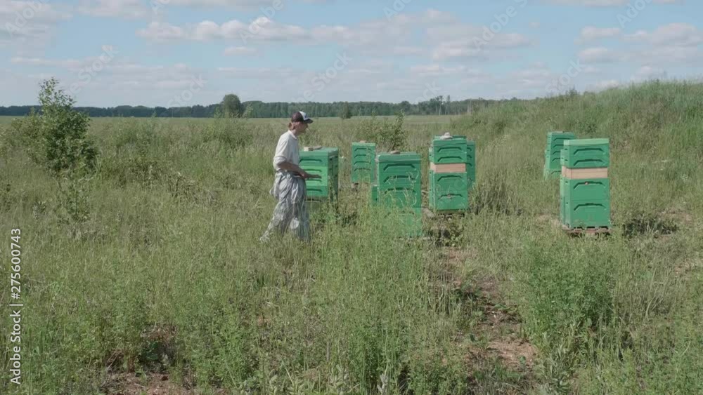 Beekeeper walks through a meadow to a modern beehive Beekeeper walks through a meadow to a modern beehive
