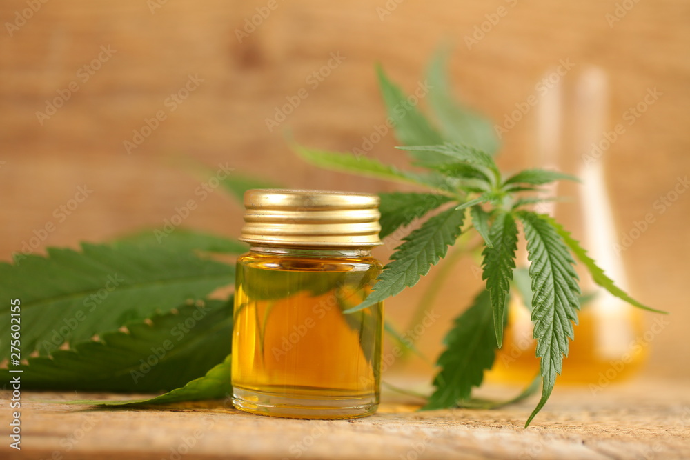 cbd oil hemp plant. medical cannabis cbd oil hemp plant. medical cannabis