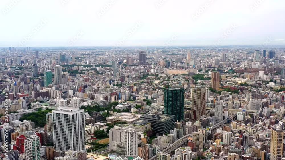 Tokyo skyline in aerial view, Cityscape with buildings in downtown Tokyo skyline in aerial view, Cityscape with buildings in downtown