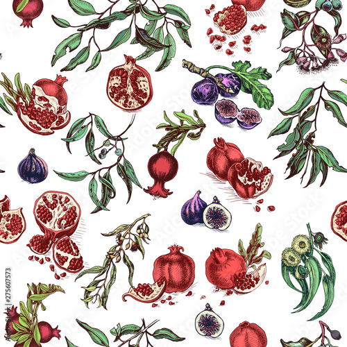 Vector hand drawn fig and eucalyptus and pomegranate pattern. Card with fruit and leaves.