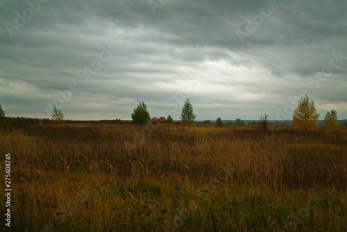 cloudy autumn evening in the countryside, Russia