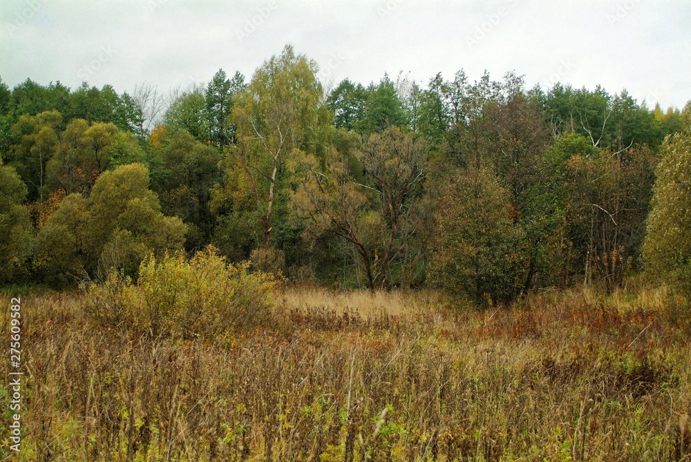 cloudy autumn evening in the countryside, Russia cloudy autumn evening in the countryside, Russia