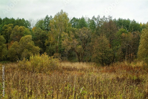 cloudy autumn evening in the countryside, Russia